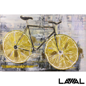 CUADRO BICICLETA 60X90