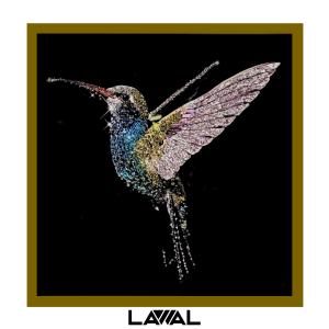 CUADRO COLIBRI RESINA 60x60