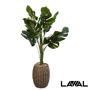 PLANTA CON MACETERO DE MIMBRE UN